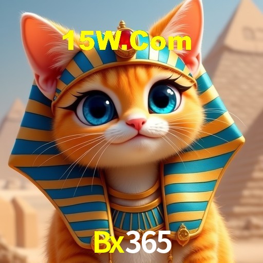 cassino Bx365