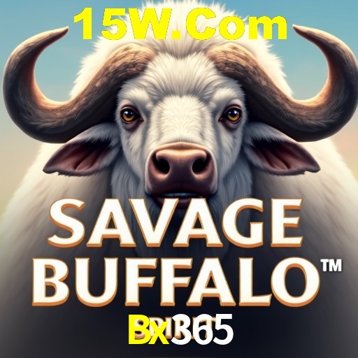 Descubra o Programa VIP da Bx365: Vantagens Exclusivas para Jogadores